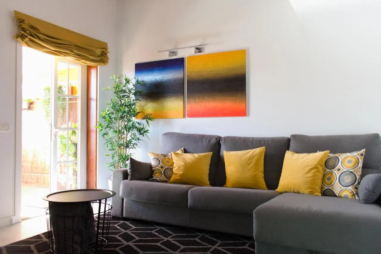 Appartement Lujoso Y Moderno Duplex Con Fantastica Terraza à La Laguna  0*, La Laguna (Tenerife) Espagne