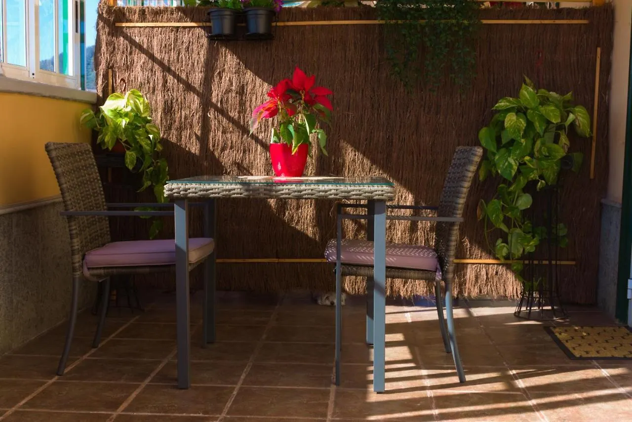 Appartement Lujoso Y Moderno Duplex Con Fantastica Terraza à La Laguna